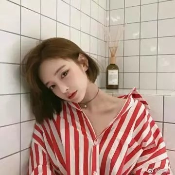 短暂的生命 封面